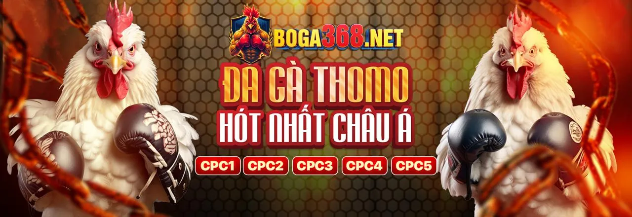 Khuyến mãi và sự kiện độc quyền nn888 nhà cái