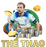 Dữ liệu hoạt động và tương tác